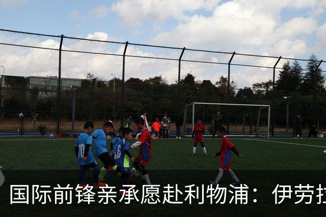 国际前锋亲承愿赴利物浦：伊劳拉急需援兵，留给休斯的窗口正在关闭